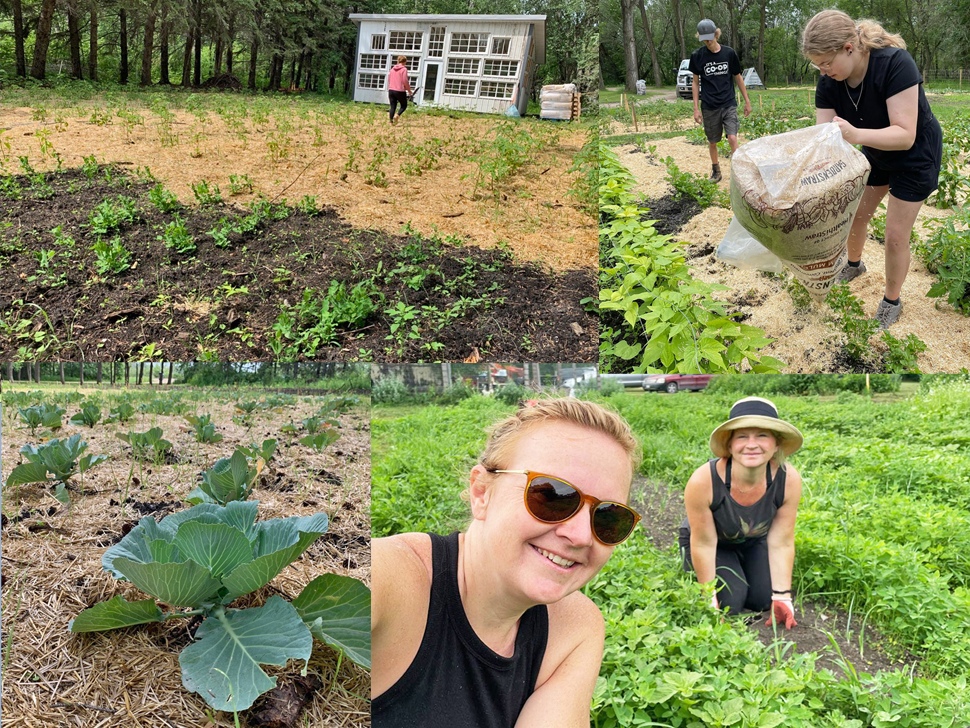 Community garden grows to an acre in size in one year